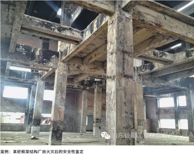 圖片.png 圖片.png